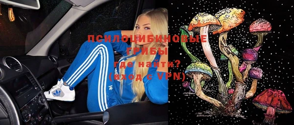 apvp Богородицк