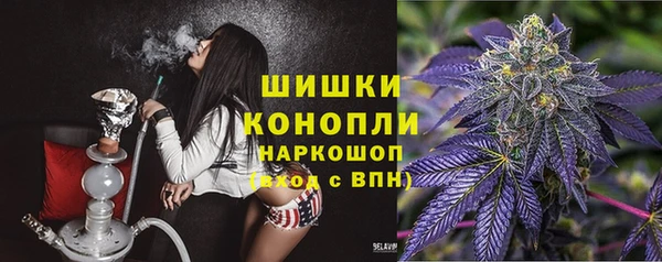 apvp Богородицк